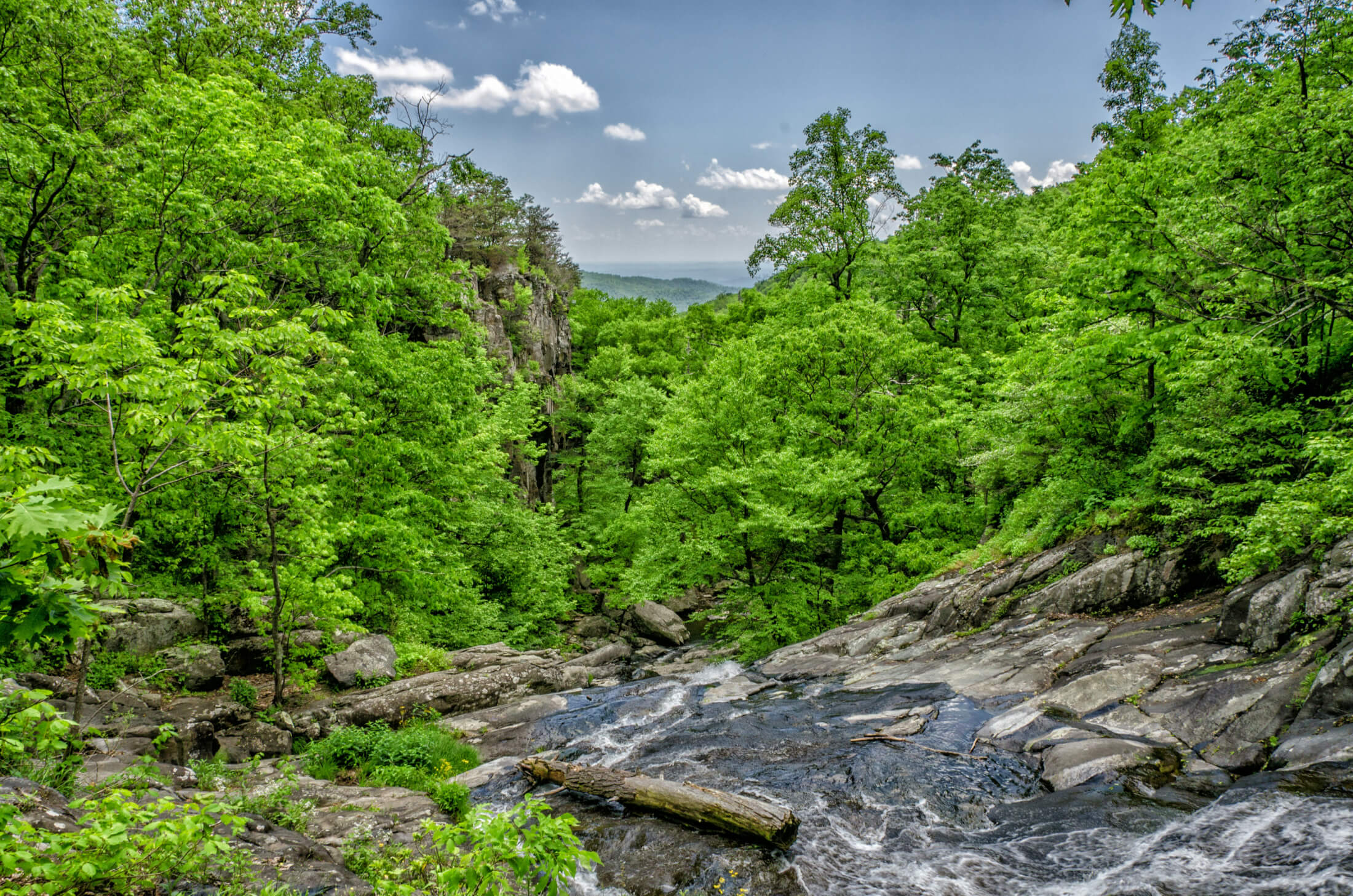 Scenic outdoor recreation at Rock Creek Regional Park with trails and lake views