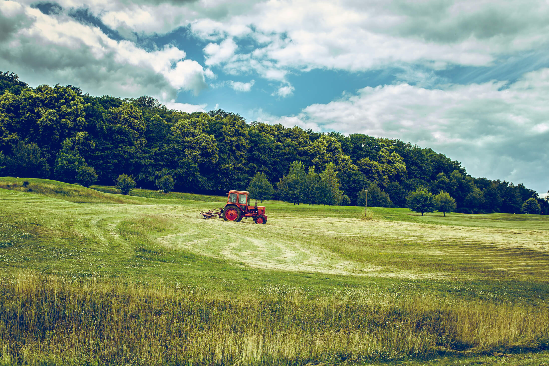 Venue for community events and the annual Montgomery County Agricultural Fair